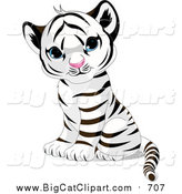 Big Cat Vector Clipart of a Cute Sitting Baby White Tiger Cub with Blue Eyes by Pushkin