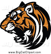 Big Cat Vector Clipart of a Growling Tiger Head by Chromaco