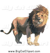 Big Cat Vector Clipart of a Male Lion with a Breeze Blowing His Mane by Dero