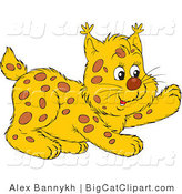 Big Cat Vector Clipart of a Playful Bobcat Lifting One Paw by Alex Bannykh