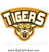 Big Cat Vector Clipart of a Tigers Sports Banner by Patrimonio