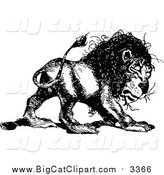 Big Cat Vector Clipart of a Vintage Black and White Lion by Prawny Vintage