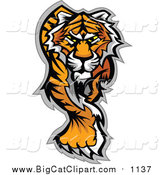 Big Cat Vector Clipart of a Walking Tiger by Chromaco