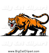 Big Cat Vector Clipart of an Aggressive Tiger by Vector Tradition SM