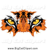 Big Cat Vector Clipart of Golden Tiger Eyes by Chromaco