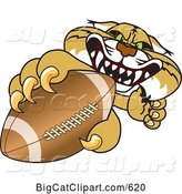 Vector Clipart of a Cartoon Bobcat Character Grabbing a Football by Mascot Junction