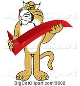 Vector Clipart of a Cartoon Bobcat School Mascot Holding a Check Mark, Symbolizing Acceptance by Mascot Junction