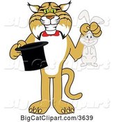 Vector Clipart of a Cartoon Bobcat School Mascot Holding a Rabbit and a Magic Hat, Symbolizing Being Resourceful by Toons4Biz