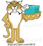 Vector Clipart of a Cartoon Bobcat School Mascot Holding up a Thank You Gift, Symbolizing Gratitude by Mascot Junction