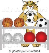 Vector Clipart of a Cartoon Bobcat School Mascot Putting a Soccer Ball Back on a Rack, Symbolizing Respect by Toons4Biz