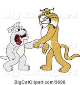 Vector Clipart of a Cartoon Bobcat School Mascot Shaking Hands with a Bulldog, Symbolizing Acceptance and Introduction by Mascot Junction
