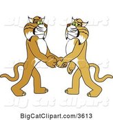 Vector Clipart of a Cartoon Bobcat School Mascot Shaking Hands with a Friend, Symbolizing Gratitude by Toons4Biz