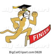Vector Clipart of a Cartoon Determined Bobcat School Mascot Graduate Running to a Finish Line by Mascot Junction