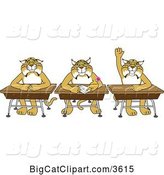 Vector Clipart of Cartoon Bobcat School Mascots Sitting at Desks, One Raising His Hand, Symbolizing Respect by Mascot Junction