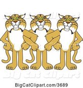 Vector Clipart of Cartoon Bobcat School Mascots Standing with Linked Arms, Symbolizing Loyalty by Mascot Junction