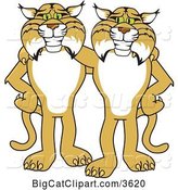 Vector Clipart of Cartoon Bobcat School Mascots Standing with the Arms over Each Other's Shoulders, Symbolizing Loyalty by Mascot Junction