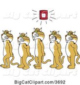 Vector Clipart of Cartoon Bobcat School Mascots Walking in Line As a Fire Alarm Goes Off, Symbolizing Safety by Mascot Junction