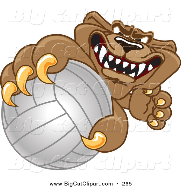 Big Cat Cartoon Vector Clipart of a Brown Cougar Mascot Character Grabbing a Volleyball