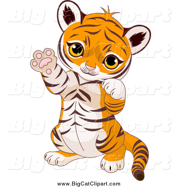 Big Cat Cartoon Vector Clipart of a Cute Baby Tiger Cub Sitting up and Gesturing Playfully with His Paws