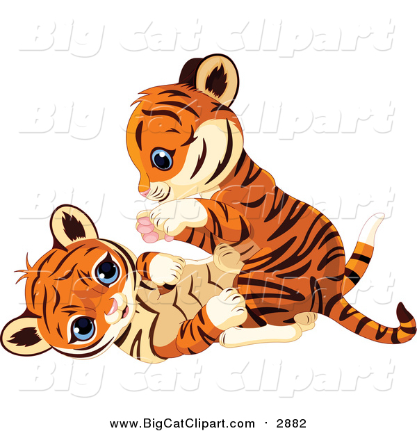 Big Cat Cartoon Vector Clipart of a Cute Tiger Cubs Being Playful