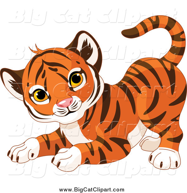 Big Cat Cartoon Vector Clipart of a Frisky Cute Tiger Cub in a Playful Stance