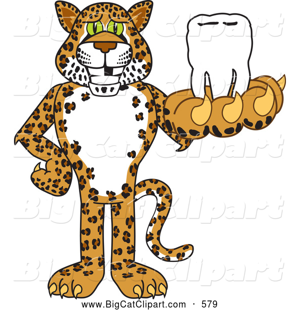 Big Cat Cartoon Vector Clipart of a Grinning Cheetah, Jaguar or Leopard Character School Mascot Holding a Tooth