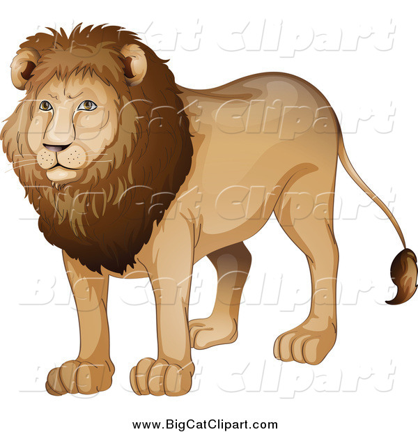 Big Cat Cartoon Vector Clipart of a Handsome Male Lion