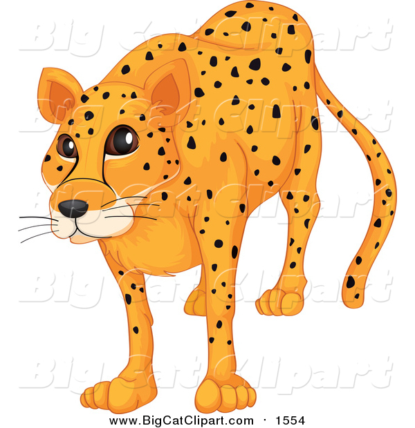 Big Cat Cartoon Vector Clipart of a Happy Cheetah