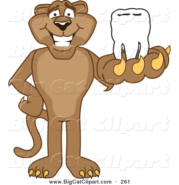 Big Cat Cartoon Vector Clipart of a Happy Cougar Mascot Character Holding a Tooth