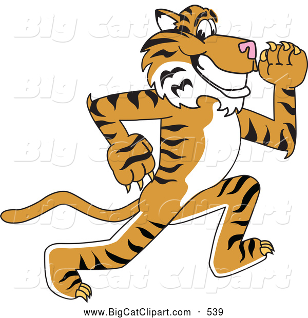 Big Cat Cartoon Vector Clipart of a Happy Tiger Character School Mascot Running