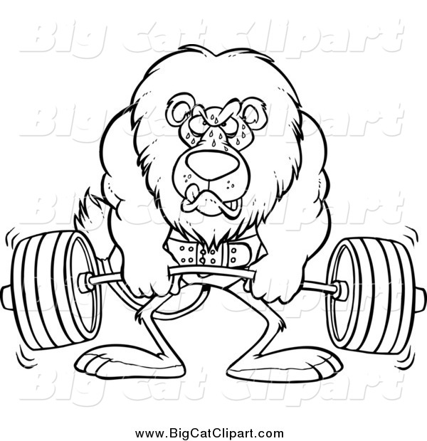 Big Cat Cartoon Vector Clipart of a Lineart Bodybuilder Lion Weightlifting