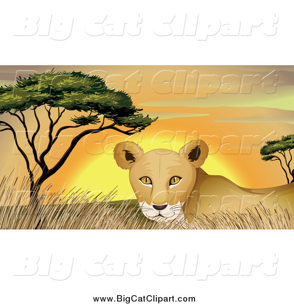 Big Cat Cartoon Vector Clipart of a Lioness in Grass at Sunset