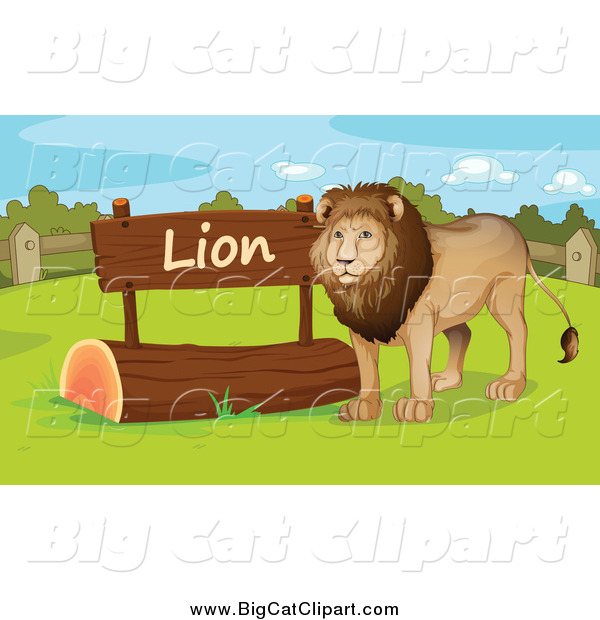 Big Cat Cartoon Vector Clipart of a Male Zoo Lion by a Sign