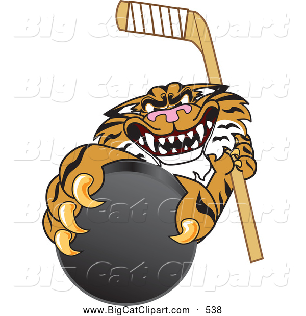 Big Cat Cartoon Vector Clipart of a Mean Tiger Character School Mascot Grabbing a Hockey Puck