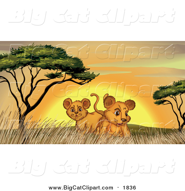 Big Cat Cartoon Vector Clipart of Lion Cubs by Trees and Grass at Sunset