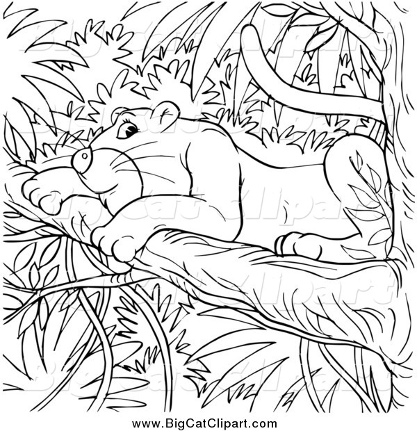 Big Cat Clipart of a Black and White Jaguar in a Tree