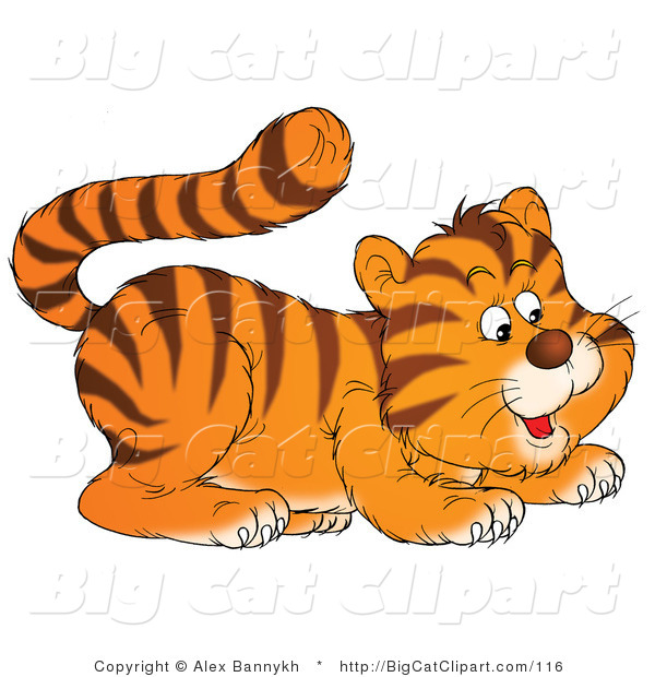 Big Cat Clipart of a Frisky Tiger Cub Crouching