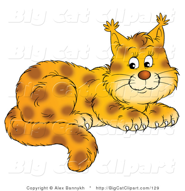 Big Cat Clipart of an Adorable Bobcat