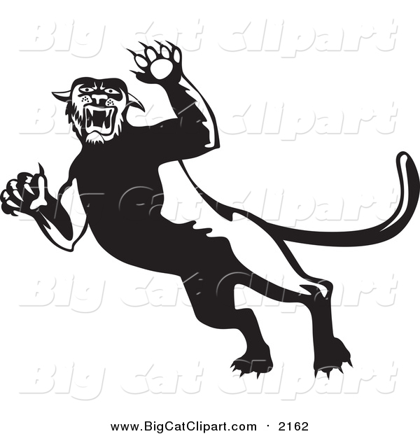 Big Cat Vector Clipart of a Black and White Attacking Panther