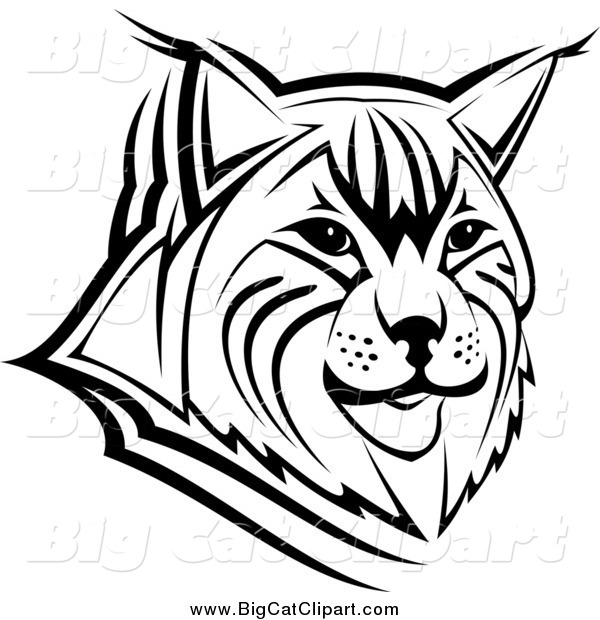 Big Cat Vector Clipart of a Black and White Bobcat Face