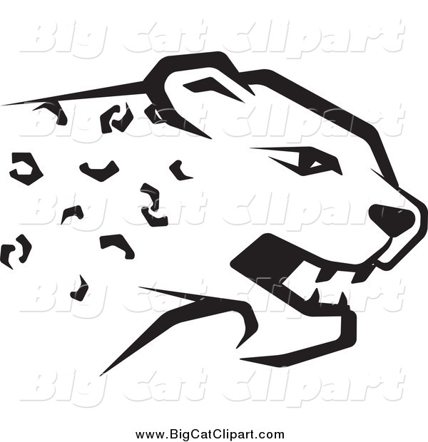 Big Cat Vector Clipart of a Black and White Cheetah Head in Profile
