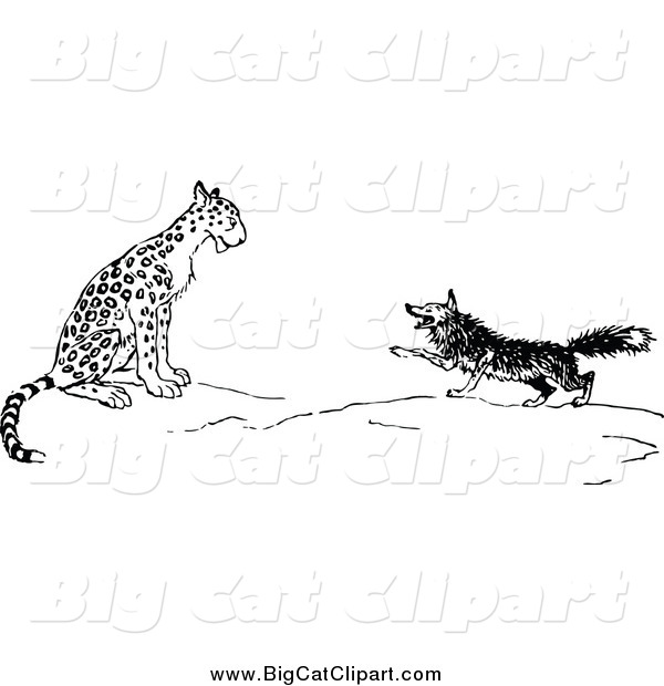 Big Cat Vector Clipart of a Black and White Fox and Leopard
