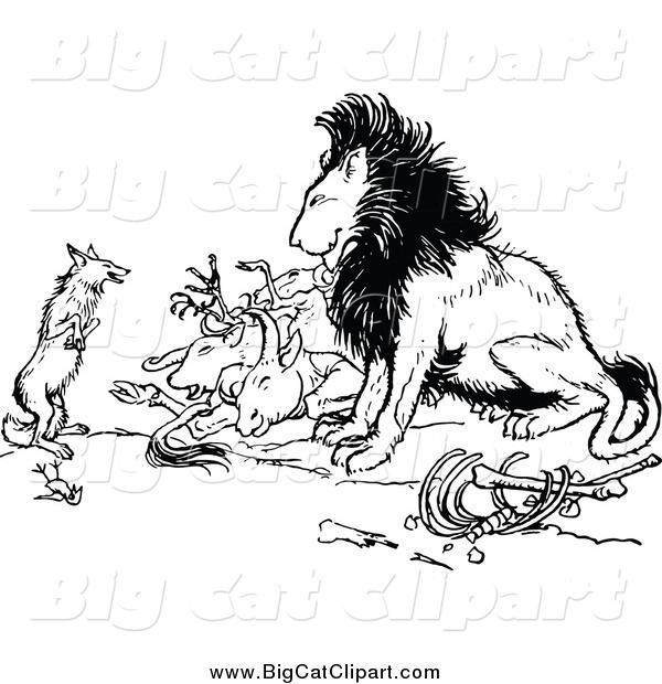 Big Cat Vector Clipart of a Black and White Fox and Lion with Prey