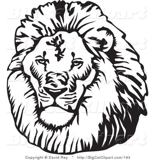 Big Cat Vector Clipart of a Black and White Male Lion Head with a Big Mane
