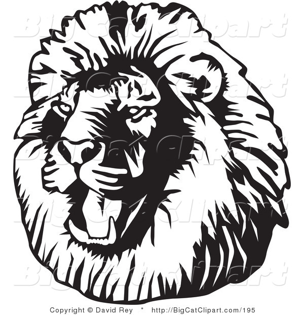 Big Cat Vector Clipart of a Black and White Roaring Male Lion Head Facing Left