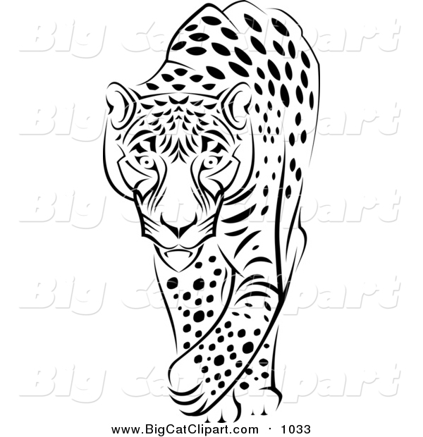 Big Cat Vector Clipart of a Black and White Walking Jaguar
