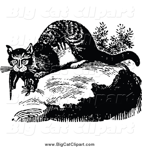 Big Cat Vector Clipart of a Black and White Wild Cat with Prey