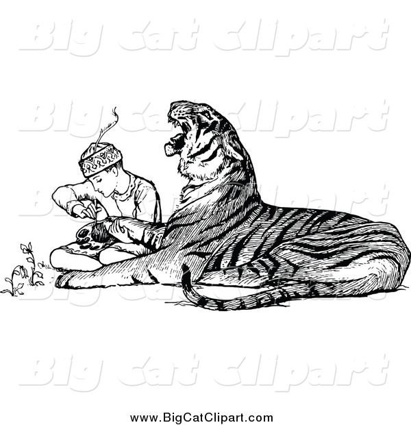 Big Cat Vector Clipart of a Black and White Zookeeper Tending to an Injured Tiger
