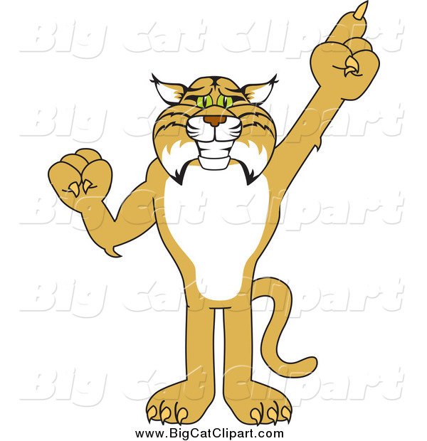 Big Cat Vector Clipart of a Bobcat Pointing up