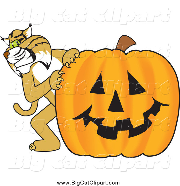 Big Cat Vector Clipart of a Bobcat with a Pumpkin